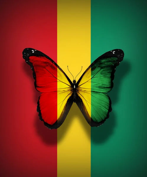 Guinea flag butterfly, isolated on flag background — Stock Photo, Image