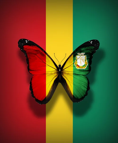 Guinea flag butterfly, isolated on flag background — Stock Photo, Image