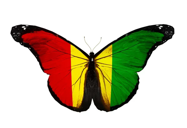 Papillon drapeau Guinée volant, isolé sur fond blanc — Photo