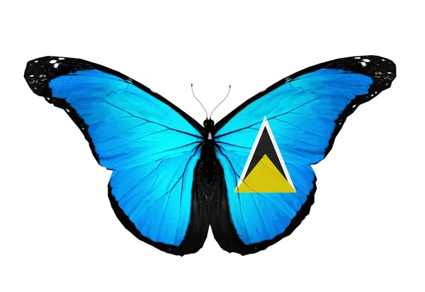 Saint Lucia flag butterfly flying, isolated on white background — Stock Photo, Image