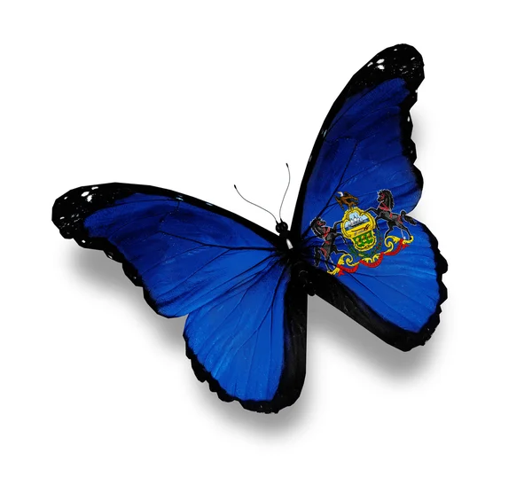 Bandiera della Pennsylvania farfalla, isolata su bianco — Foto Stock