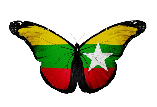 Beyaz arka plan üzerinde izole myanmar bayrağı kelebek — Stok fotoğraf