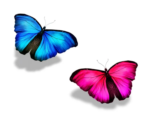 粉色和蓝色的蝴蝶，孤立在白色 — 图库照片