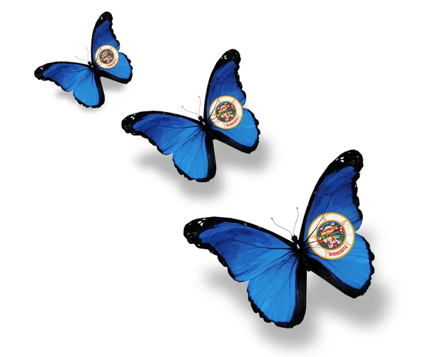 Drie minnesota vlag vlinders, geïsoleerd op wit — Stockfoto