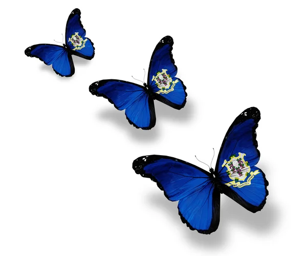 Tres mariposas bandera de Connecticut, aisladas en blanco — Foto de Stock