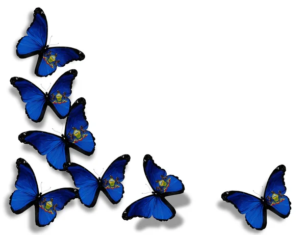 Pennsylvania flag butterflies, isolated on white background — Stock Photo, Image