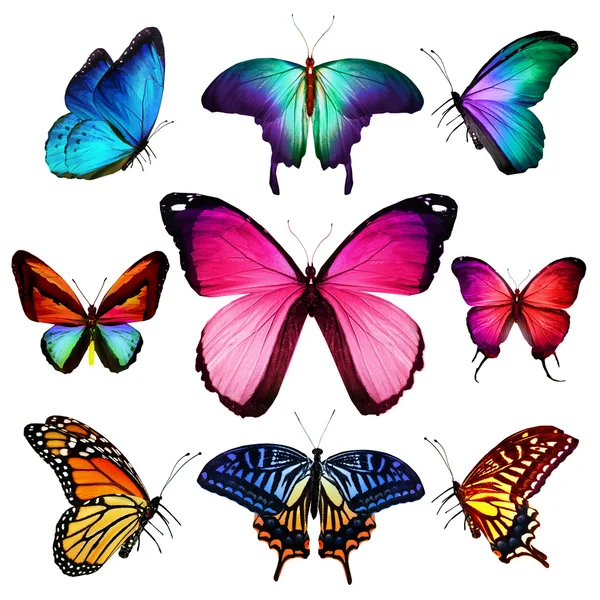 Mnoho různých motýli letící, izolované na bílém pozadí — Stock fotografie