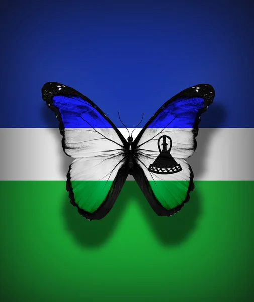 Lesotho mariposa bandera, aislado en el fondo de la bandera — Foto de Stock