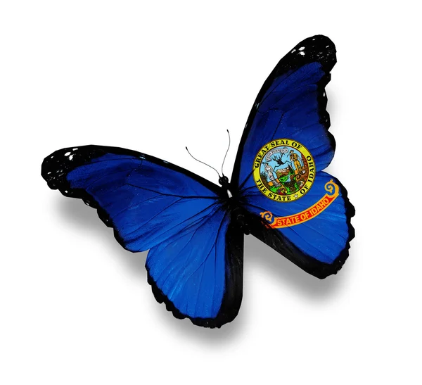 Bandiera della farfalla Idaho, isolata su bianco — Foto Stock