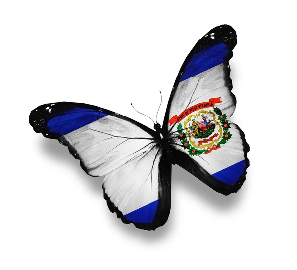 West virginia Flagge Schmetterling, isoliert auf weiß — Stockfoto