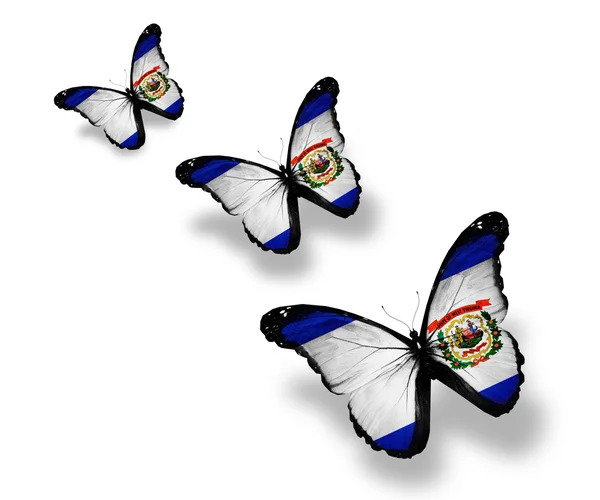 Tres mariposas bandera de Virginia Occidental, aisladas en blanco — Foto de Stock