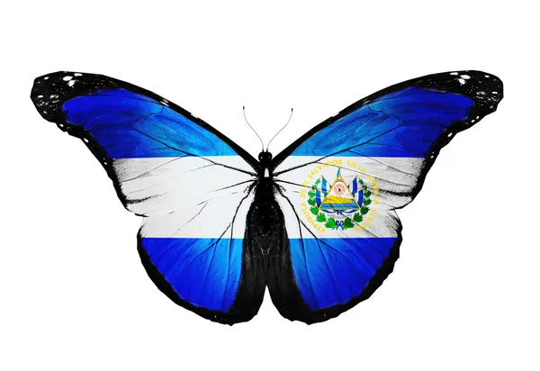 El Salvador flag butterfly, isolated on white background — Stock Photo, Image