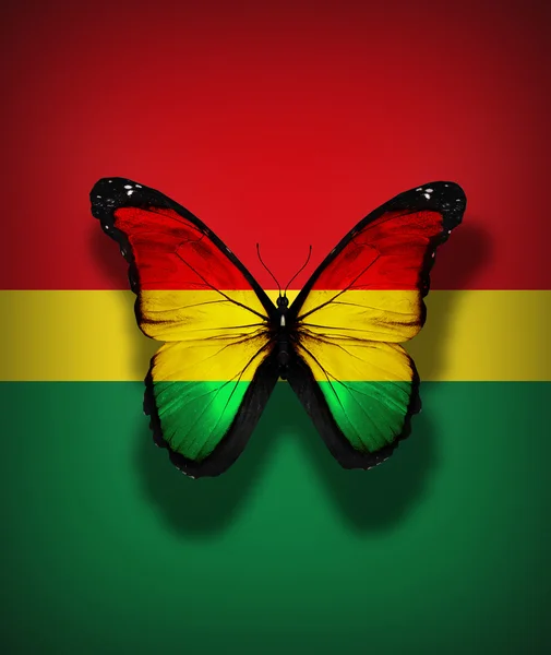 Bolivian flag butterfly, isolated on flag background — Stock Photo, Image