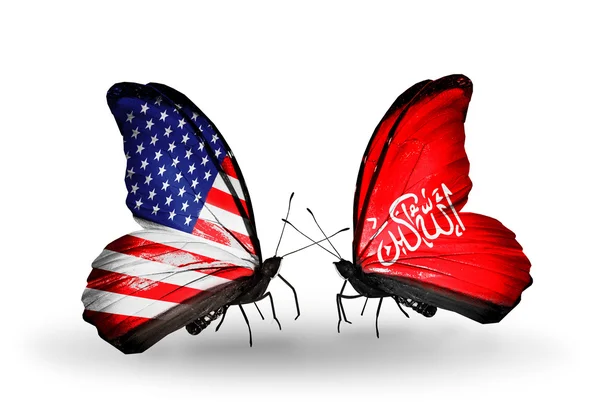 Две бабочки с флагами на крыльях как символ отношений США и Вазиристана — стоковое фото
