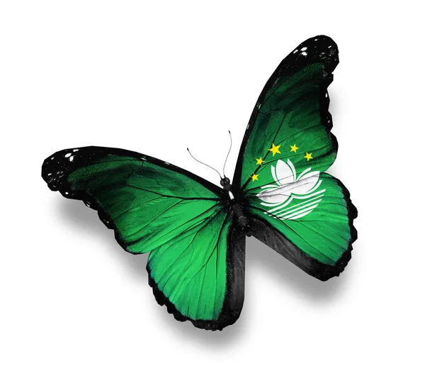 澳门标志只蝴蝶，在白色隔离 — 图库照片