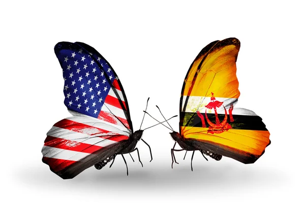 Two butterflies with flags on wings as symbol of relations USA and Brunei — Stock Photo, Image