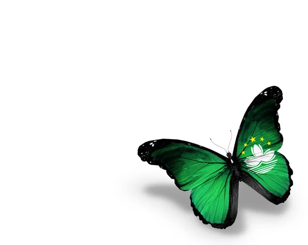 Kupu-kupu bendera Makau, diisolasi pada latar belakang putih — Stok Foto