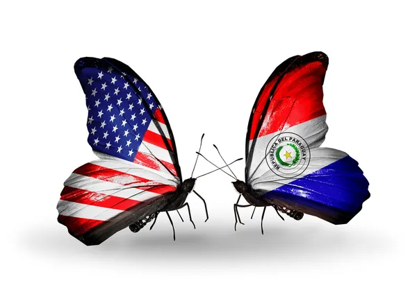 Deux papillons avec des drapeaux sur les ailes comme symbole des relations USA et Paraguay — Photo