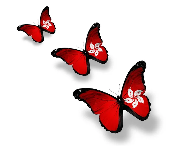 Three Hong kong flag butterflies, isolated on white — Stock Photo, Image