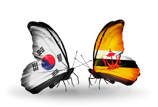 Two butterflies with flags on wings as symbol of relations South Korea and Brunei — Stock Photo, Image