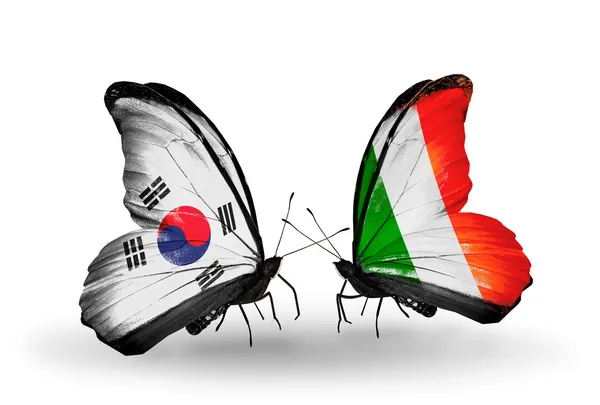 Twee vlinders met vlaggen op vleugels als symbool van de betrekkingen, Zuid-korea en Ierland — Stockfoto