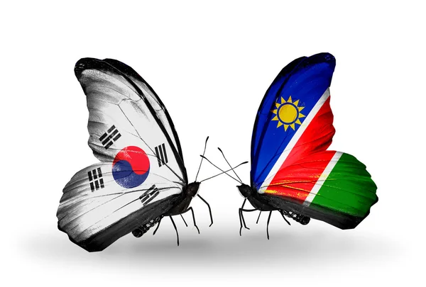 两只蝴蝶翅膀上的标志与作为象征关系韩国和纳米比亚 — 图库照片