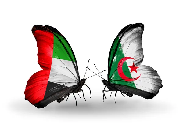 Due farfalle con bandiere sulle ali come simbolo delle relazioni Emirati Arabi Uniti e Algeria — Foto Stock