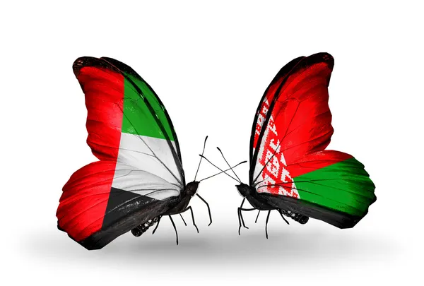 Dwa motyle z flagami na skrzydłach jako symbol Zjednoczonych Emiratów Arabskich stosunków i Białorusi — Zdjęcie stockowe