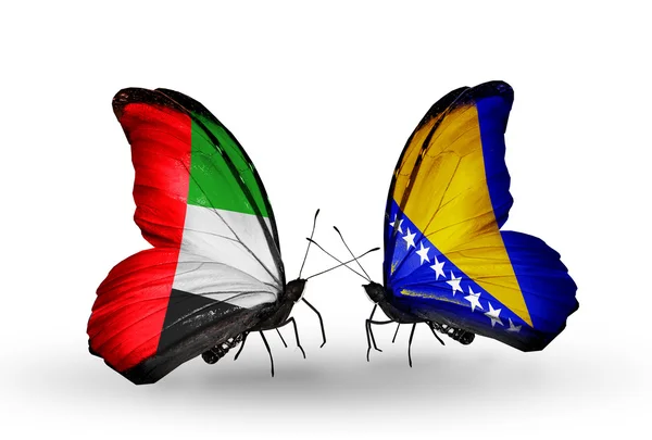 Duas borboletas com bandeiras em asas como símbolo das relações Emirados Árabes Unidos e Bósnia e Herzegovina — Fotografia de Stock