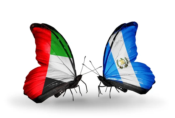 Dva motýli s příznaky na křídlech jako symbol vztahy SAE a guatemala — Stock fotografie