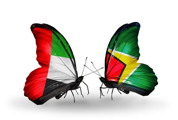 Duas borboletas com bandeiras em asas como símbolo de relações Emirados Árabes Unidos e Guiana — Fotografia de Stock