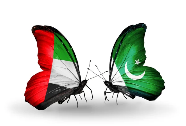 Twee vlinders met vlaggen op vleugels als symbool van betrekkingen Verenigde Arabische Emiraten en pakistan — Stockfoto