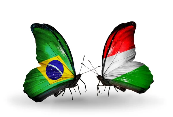 Two butterflies with flags on wings as symbol of relations Brazil and Hungary — Stock Photo, Image