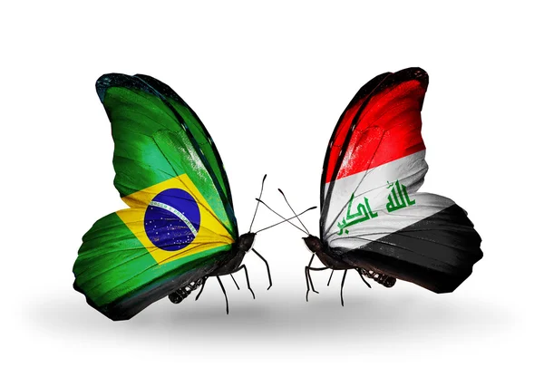 Two butterflies with flags on wings as symbol of relations Brazil and Iraq — Stock Photo, Image