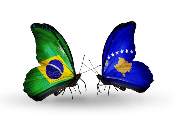 Dva motýli s příznaky na křídlech jako symbol vztahy Brazílie a kosovo — Stock fotografie