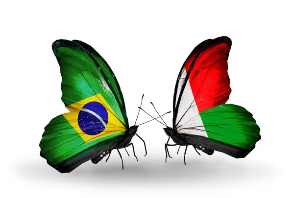 Two butterflies with flags on wings as symbol of relations Brazil and Madagascar — Stock Photo, Image