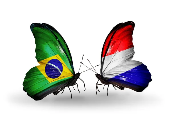 Duas borboletas com bandeiras nas asas como símbolo das relações Brasil e Holanda — Fotografia de Stock