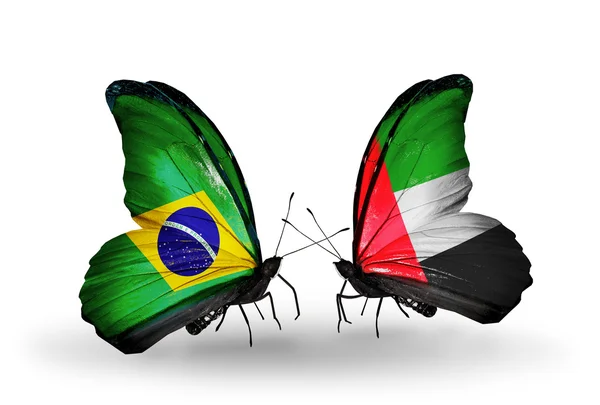 Iki kelebek kanatları ilişkileri Brezilya ve BAE sembolü olarak bayrakları ile — Stok fotoğraf