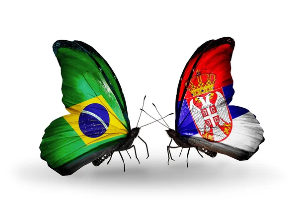 Duas borboletas com bandeiras nas asas como símbolo das relações Brasil e Sérvia — Fotografia de Stock