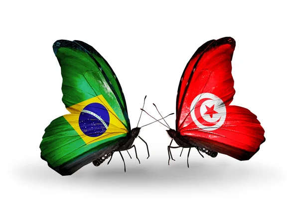 Dos mariposas con banderas en alas como símbolo de relaciones Brasil y Túnez —  Fotos de Stock