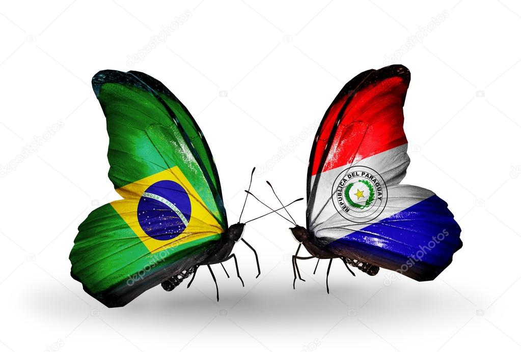 Two butterflies with flags on wings as symbol of relations Brazil and Paraguay