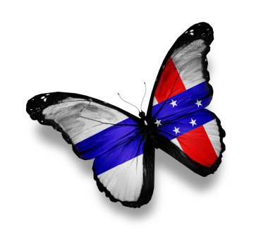 Hollanda Antilleri bayrak kelebek, üzerinde beyaz izole