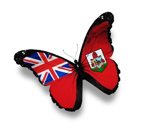 Bandiera della farfalla delle Bermuda, isolata su bianco — Foto Stock