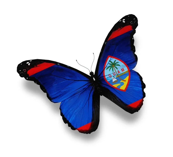 괌 나비, 흰색 절연의 국기 — 스톡 사진