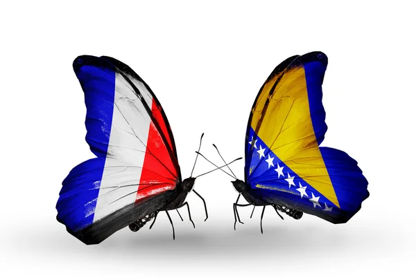 Two butterflies with flags on wings as symbol of relations France and Bosnia and Herzegovina — Stock Photo, Image