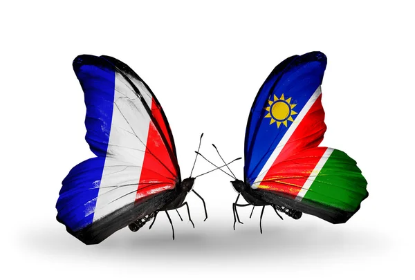 两只蝴蝶翅膀上的标志与象征关系法国和纳米比亚 — 图库照片