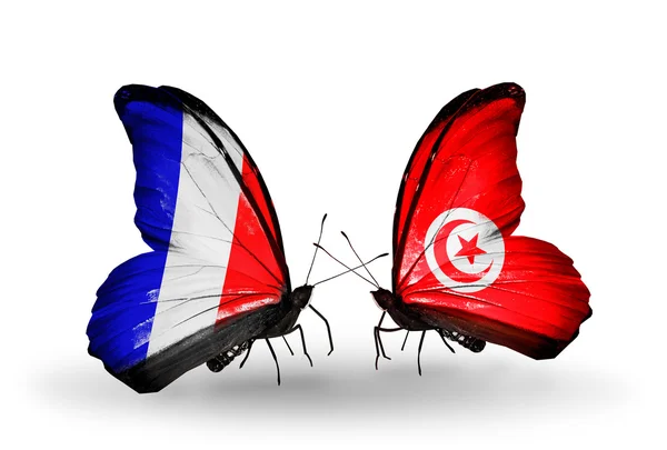 Deux papillons avec des drapeaux sur les ailes comme symbole des relations France et Tunisie — Photo