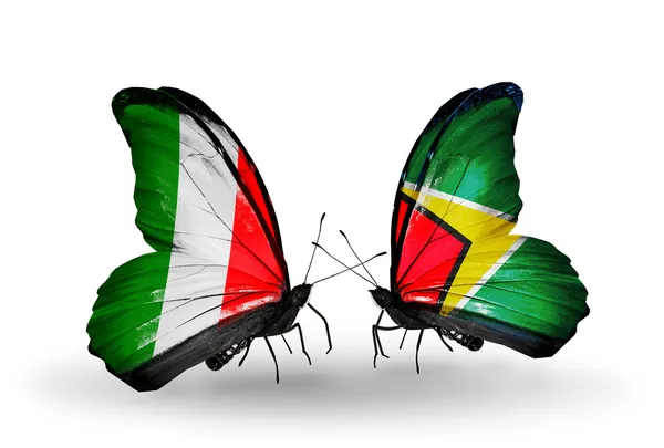 Dos mariposas con banderas en alas como símbolo de relaciones Italia y Guyana — Foto de Stock