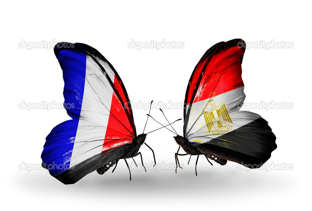 Two butterflies with flags on wings as symbol of relations France and Egypt