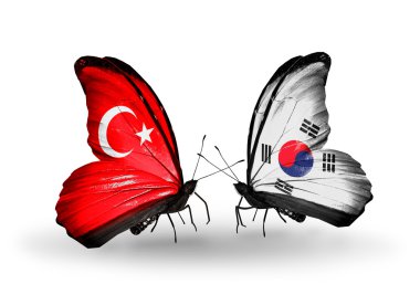 iki kelebek kanatları ilişkiler Türkiye ve Güney Kore sembolü olarak bayrakları ile